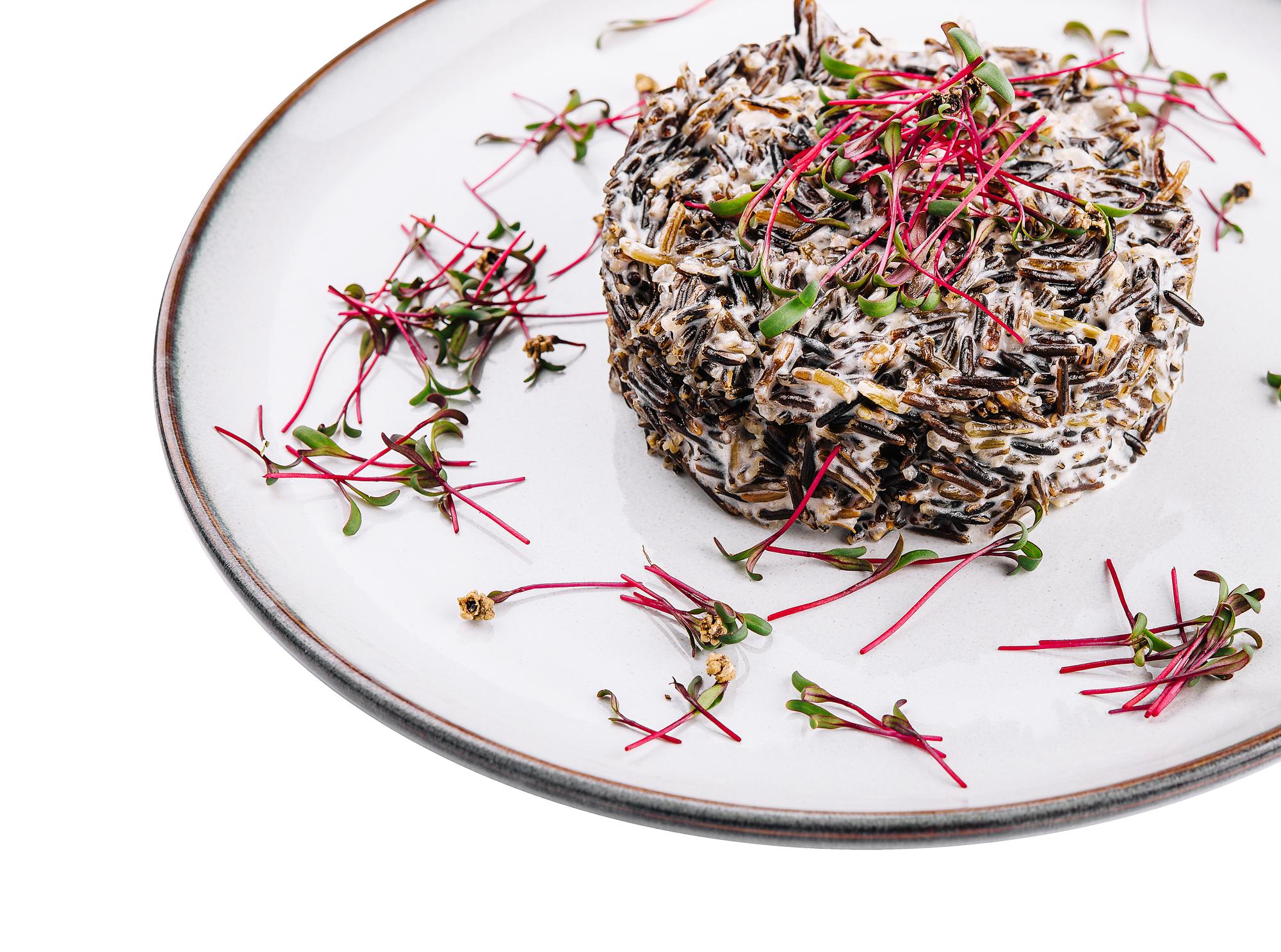 Close-up plated starter with microgreens